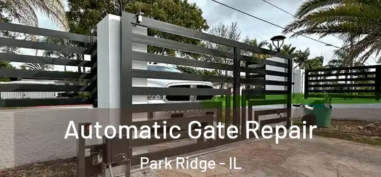 Automatic Gate Repair Park Ridge - IL
