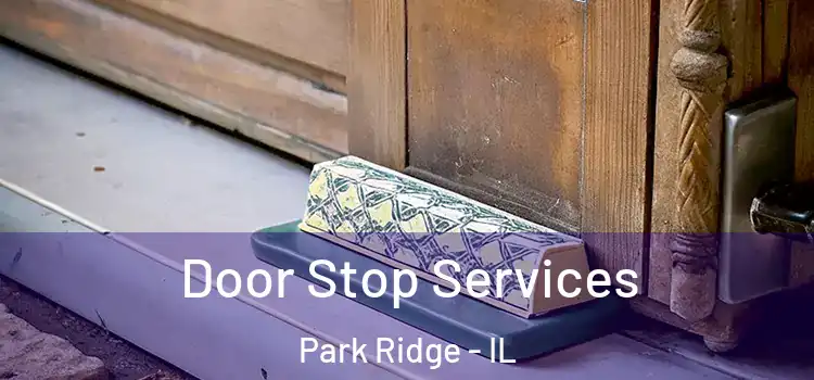 Door Stop Services Park Ridge - IL