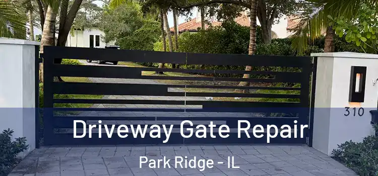 Driveway Gate Repair Park Ridge - IL