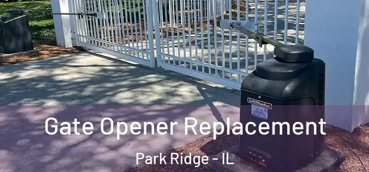 Gate Opener Replacement Park Ridge - IL
