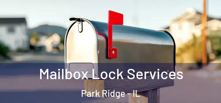 Mailbox Lock Services Park Ridge - IL