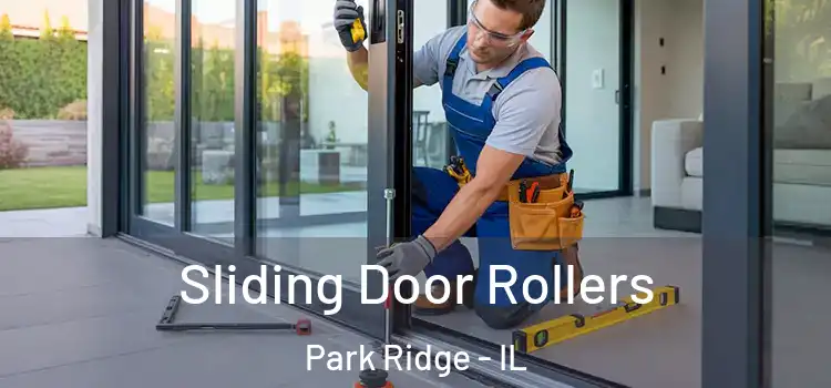 Sliding Door Rollers Park Ridge - IL